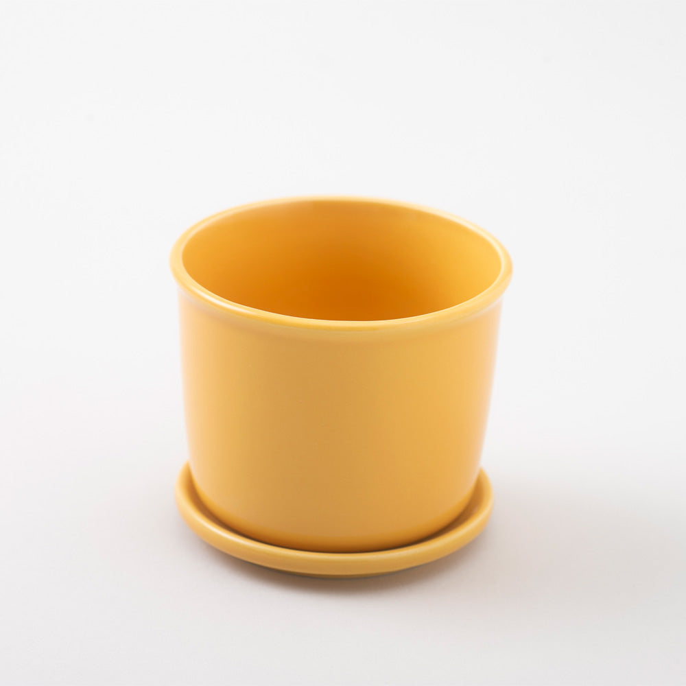 Mug Pot