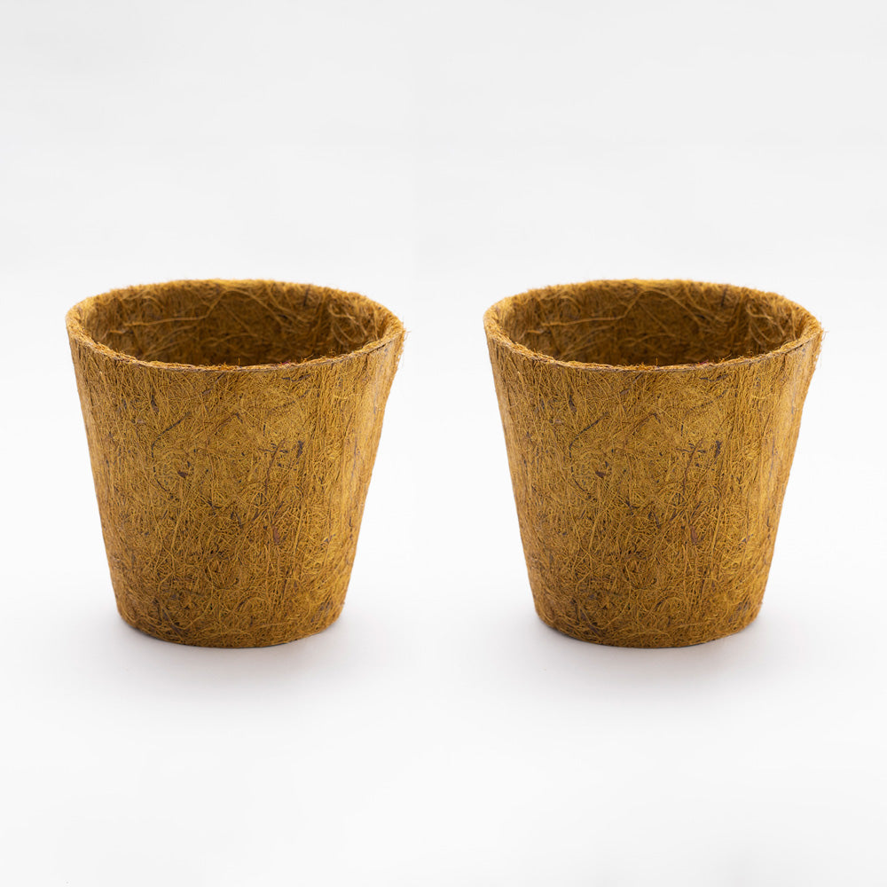 Earth Pot