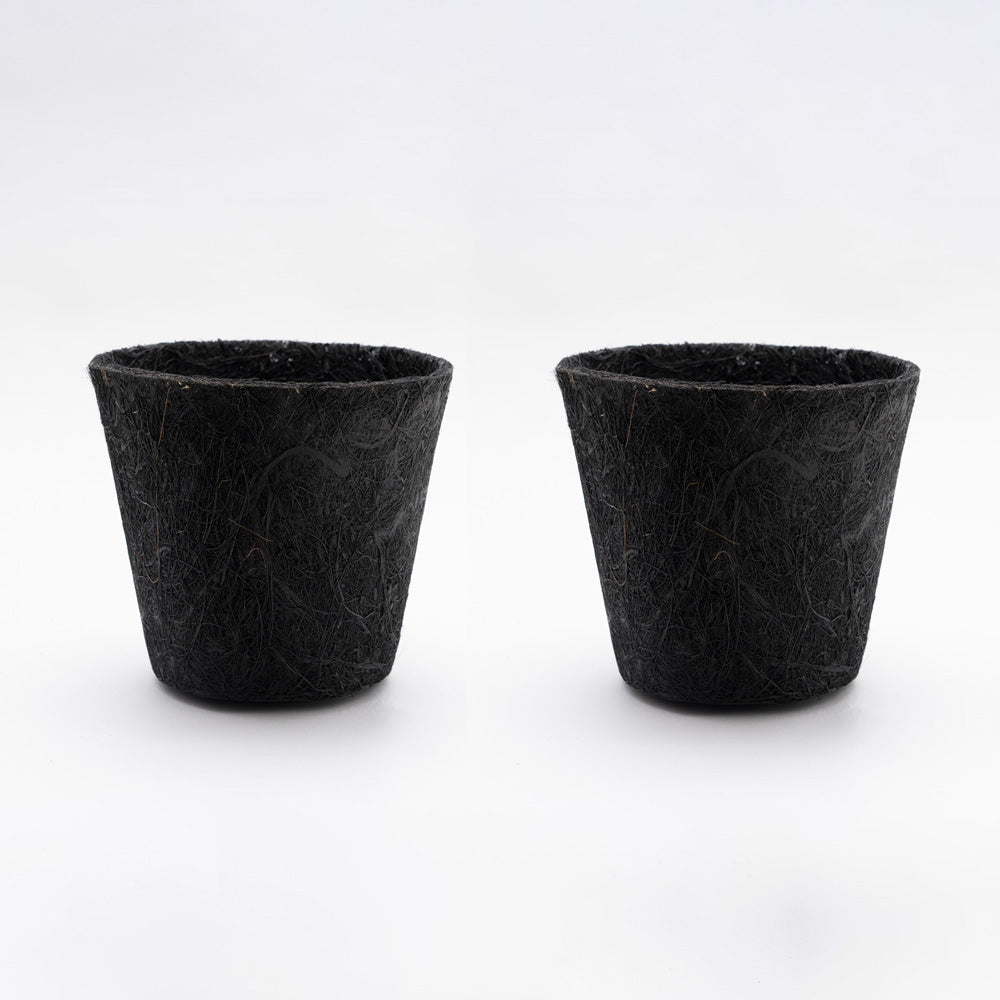 Earth Pot