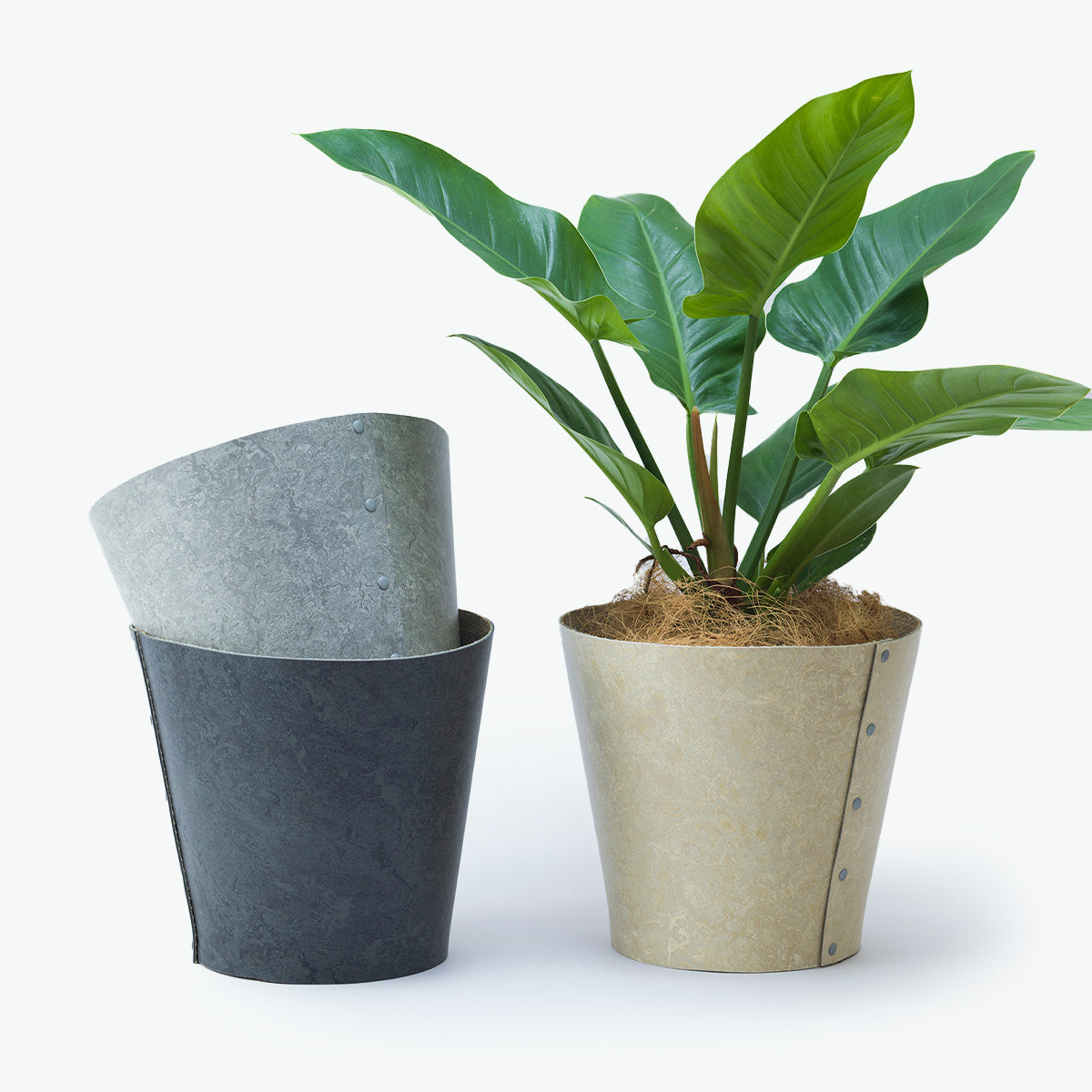 Earth Pot Linoleum