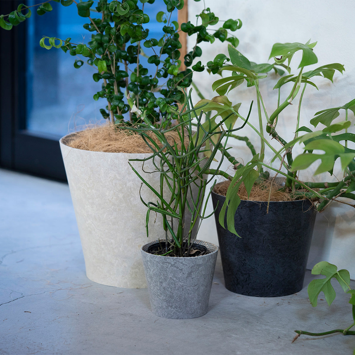 Earth Pot Linoleum