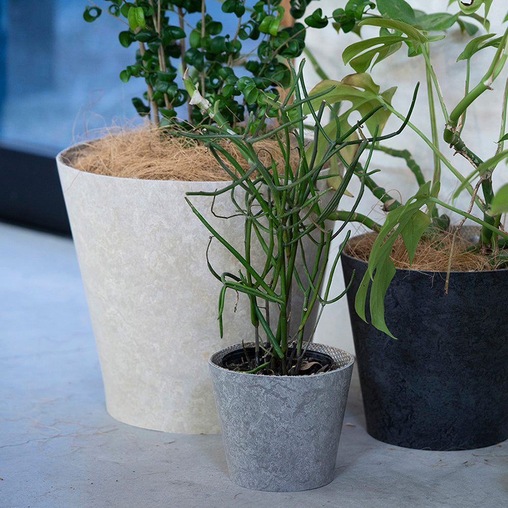 Earth Pot Linoleum